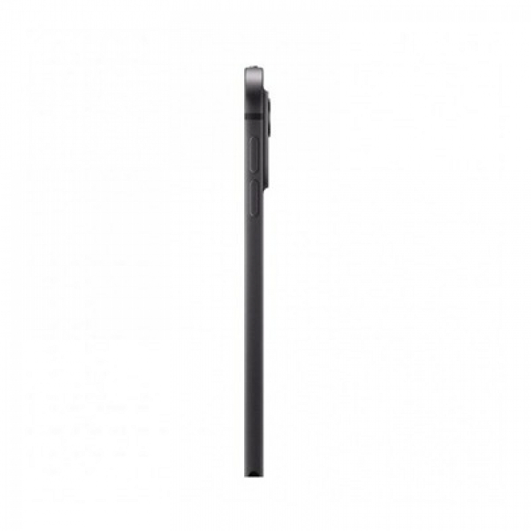IPAD PRO 11'' WI-FI 256GB STANDARD GLASS SPACE BLACK MVV83NF/A APPLE