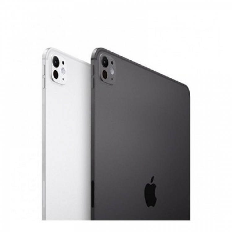 IPAD PRO 11'' WI-FI 256GB STANDARD GLASS SPACE BLACK MVV83NF/A APPLE