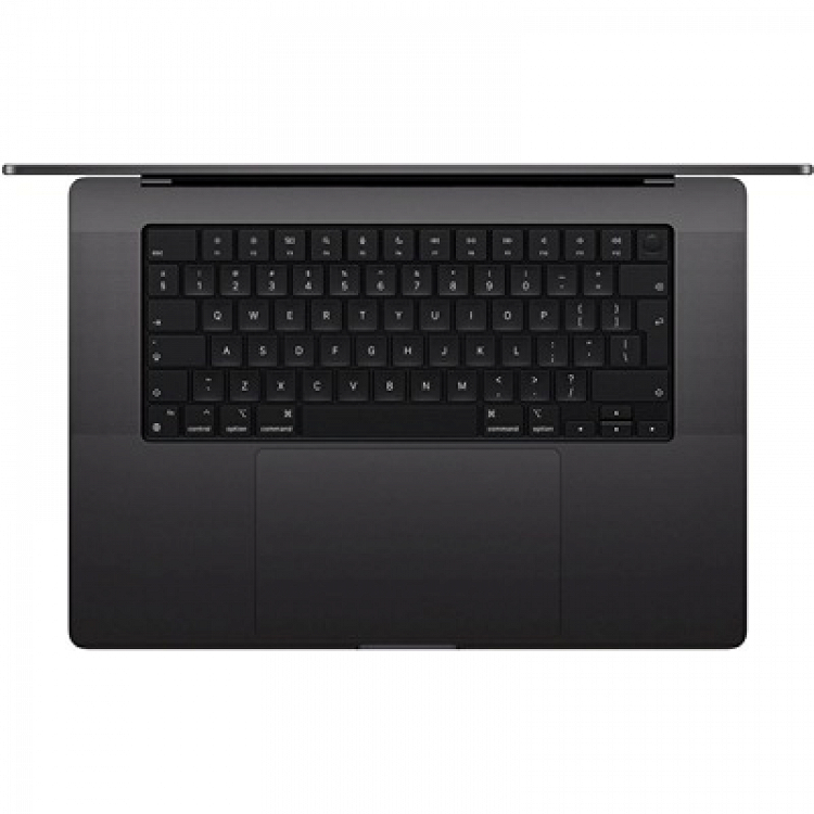MacBook Pro 16'' M4 MAX/36GB/1TB SPACE BLACK MX303GR/A APPLE