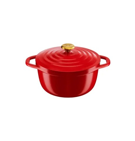 ΓΑΣΤΡΑ 24 ΕΚ. AIR E25446 TEFAL