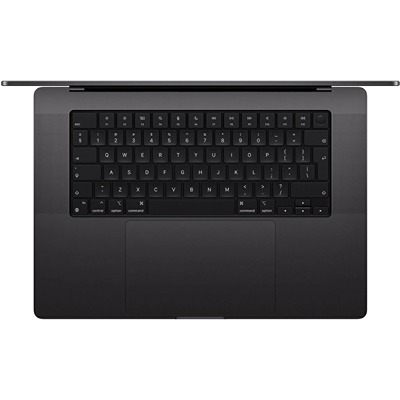 MacBook Pro 16'' M4 MAX/36GB/1TB SPACE BLACK MX303GR/A APPLE